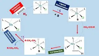WILKINSON  homogeneous CATALYST  HYDROGENATION OF ALKENE RhCl(P(Ph)3)3  MECHANISM THE RECTION STEPS