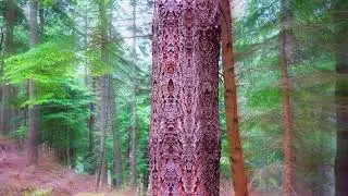 Experimental Magic Mushroom Visuals (Trip Simulation)