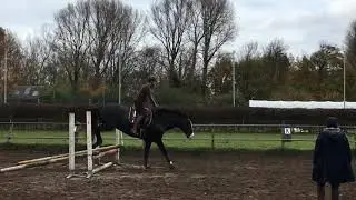 Ferro mini springles 11 november 2018