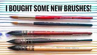 Watercolor Mop & Round Brush ~ Prinston Neptune ~ Raphael Softaqua ~ Princeton Aqua Elite Nextgen