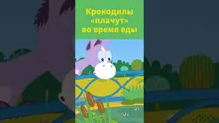 Необычные факты о крокодилах!#факты #дети #животные