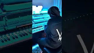 Alan Walker - Dreamer 