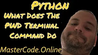 Python: What Does pwd Terminal Command Do?