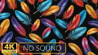 4K | ART Slideshow for TV | Multicolored Feathers | 1 Hour | No Sound