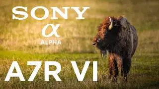 ALL NEW Sony a7R VI - A Week In The Tetons. Sony's Best Camera Ever!!