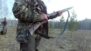 Отстрел жевело в гильзе под еврокапсюль.