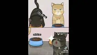 videoyu aldığım hesap videoda yazıyor