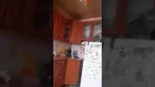 22 февраля 2020 г.