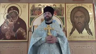 СПАСЕНИЕ ПЕТРА. Проповедь о. Димитрия 25.08.24