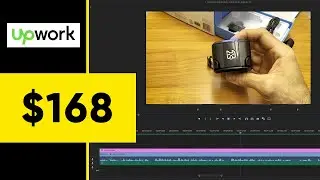 I charged $168 for editing this video - Unboxing dog product