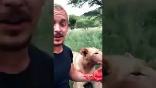 THE LION KING