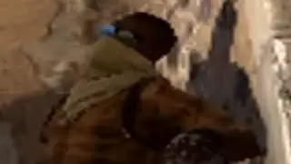 exei