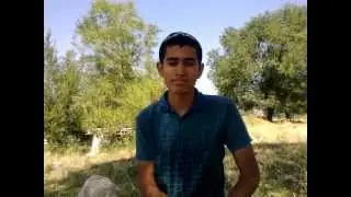 Талгар-Милиаратор