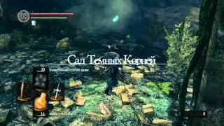 19.Dark Souls (Маг) Нито-Повелитель могил и Страж Святилища
