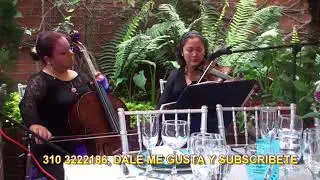 MUSICOS BODA CIVIL EN BOGOTA