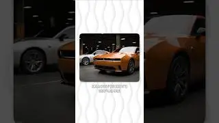 Doodge are cringing hard! 🚘 