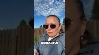 Клоп не спрятался - я не виновата #шортс #юмор #прикол