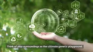 How Epigenetics Works