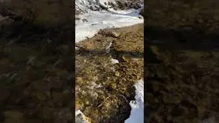 Кисловодск, река Аликоновка. #snowflakes #forest #river
