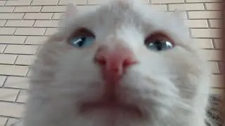 ¦ совсем скоро ¦ Very soon ¦