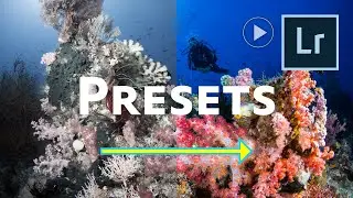Using Lightroom Presets - Speed up your Workflow