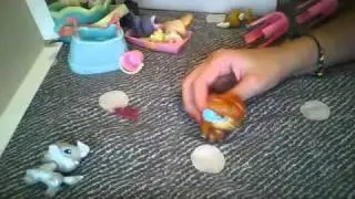 kesha tick tock pet shop