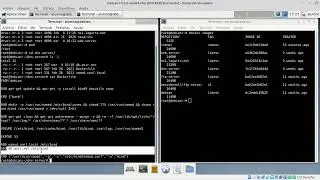 Despliegue DNS en DOCKER