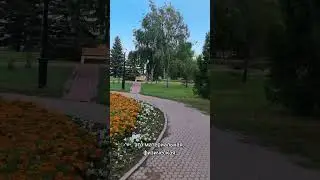 Любит, не любит...