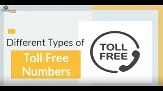 Different Types of Toll Free Numbers | CallCenterHosting
