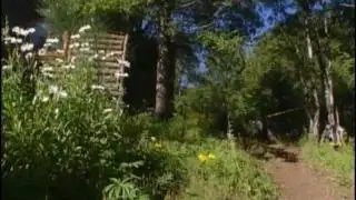 Чили. Золотой глобус - 40