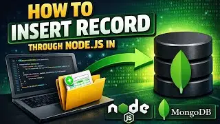 Insert record in mongodb using node js 