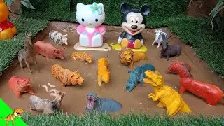 "Muddy Animal Adventure: Clean Up and Fun Facts with Mickey and Lion , Cow, Tiger, and more