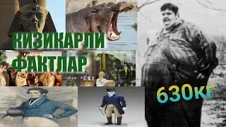 Кизикарли фактлар