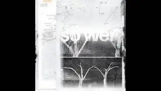 diggidaniel - so weit