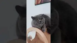 😂😂😂