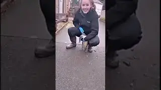 Трогательные животные!