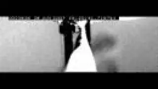 Robotic Fly Takes Flight