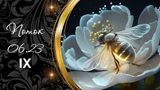 776 ⭐ 212 🌿 НА ЧТО ВАМ СТОИТ ОБРАТИТЬ ВНИМАНИЕ ПРЯМО СЕЙЧАС | САМОПОЗНАНИЕ ТАРО