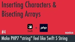 PHP String Class 4: Insert characters - novice