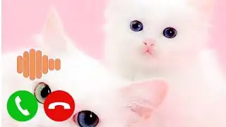 Life Line ringtone,Sad ringtone,flute ringtone,mobile phone ringtone,call ringtone,notification tone