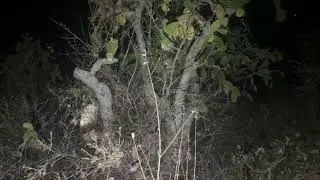 Aterradora exploración a media noche