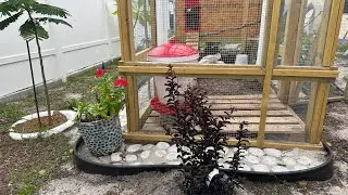 Флорида🌴Да никуда я не пропала,дел выше крыши,полюбуйтесь сами😜