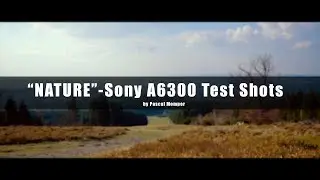 NATURE | Sony A6300 4K TEST SHOTS [SLOG 2]