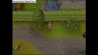 Runescape Hunting Tutorials: Hunting Chinchompas (Requires level 53 hunting)