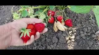 648.У нас ,что ни день то праздник 😜