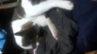 Novinha gatinha tomando banho