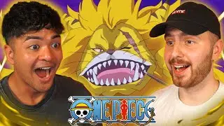 CAT VIPER & DOGSTORM ARE AMAZING!! - One Piece Episode 759 + 760 REACTION + REVIEW!