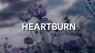 wafia - heartburn (tradução)