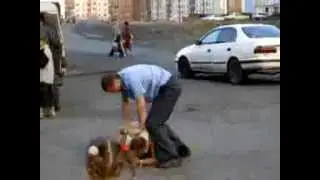Мент каратист НАВАЛЯЛ ЗАДЕРЖАННОМУ !!!!!!!!!!!!!!!!!!!!!!!!!!!