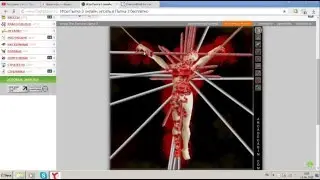 играем во флеш игры 2 часть